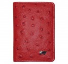  Braun Buffel 40400-125-080