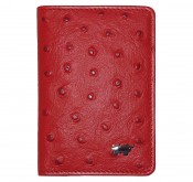  Braun Buffel 40400-125-080